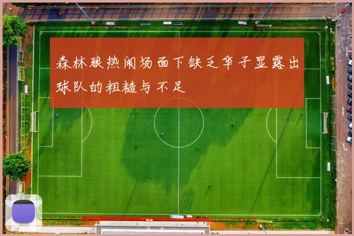 森林狼热闹场面下缺乏华子显露出球队的粗糙与不足