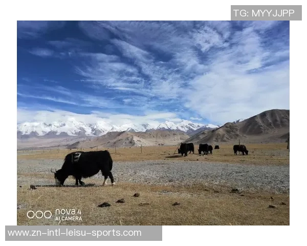 米诺特热爱绿军环境称这里的一切都超出了他的预期 米诺特热爱绿军环境称这里的一切都超出了他的预期